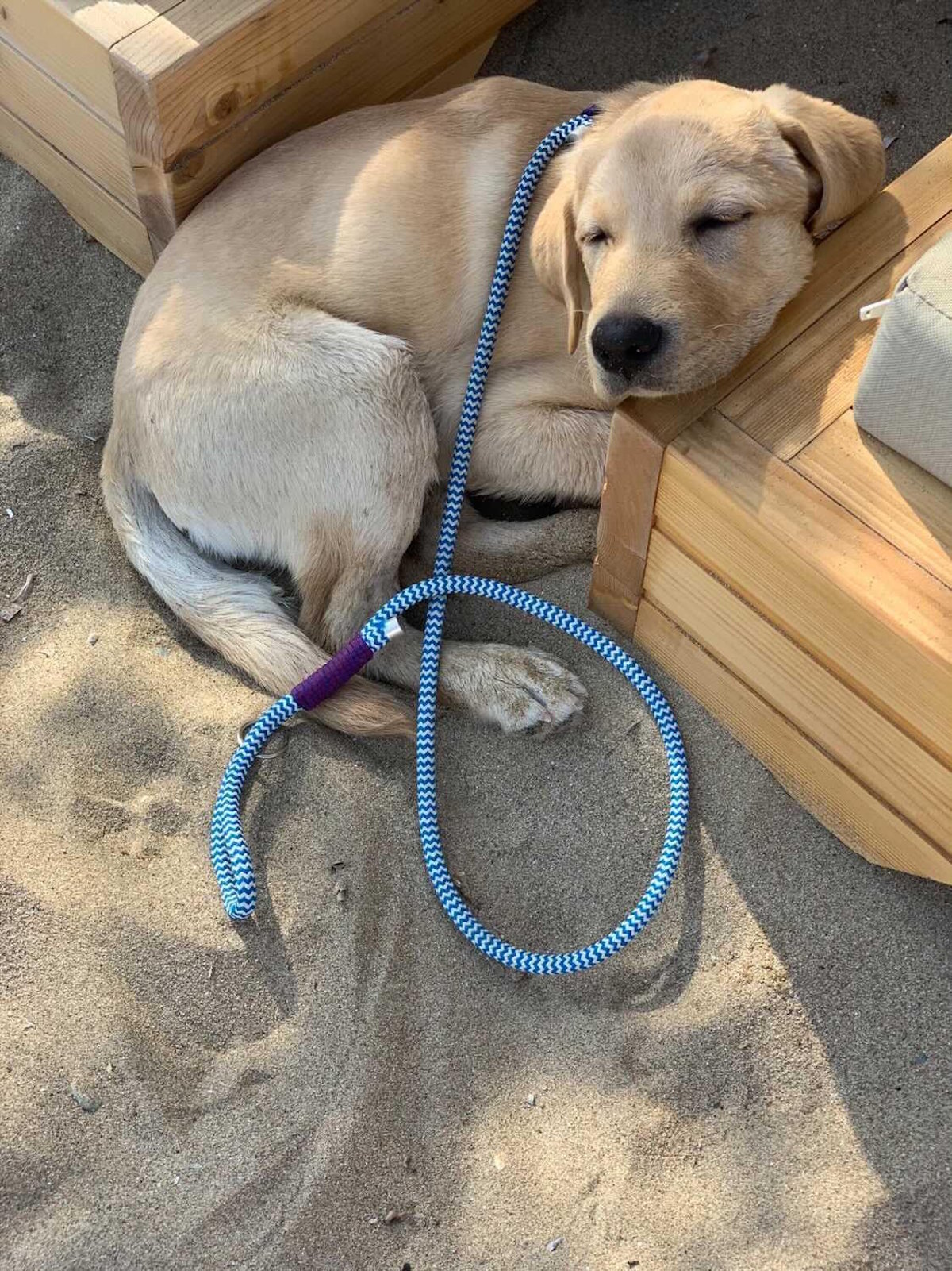 Κλασικά λουριά